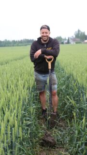 AgriSimolan KWS Emerick on satokisan ennakkosuosikki kevään sateiden ja John Jordaksen hellän huolenpidon vuoksi. Syysvehnä on saanut "vähän mutta usein" - lannoitetta on levitetty sateiden alle monta kertaa ja ruiskun kanssa on myös ajeltu pellolla. Ainoa uhka on syysvehnä esikasvina, se yleensä rokottaa tonnin pois sadosta. Tällä lohkolla on kuitenkin pitkä nurmihistoria ja karjanlantaa on käytetty. Sen näkee juuripaakun muruista. #KWSEmerick on toista vuotta viljelyssä, siemen on hankittu @junttilantila @john_jordas oli viime vuonna @basf_agro_nordics #FollowAFarmer -tähti ja sieltäkin tarttui kaikenlaista mukaan. Video on kuvattu 24.6. Artjärvellä. @agrisimolaoy #satokisa2026 #syysvehnäkisa