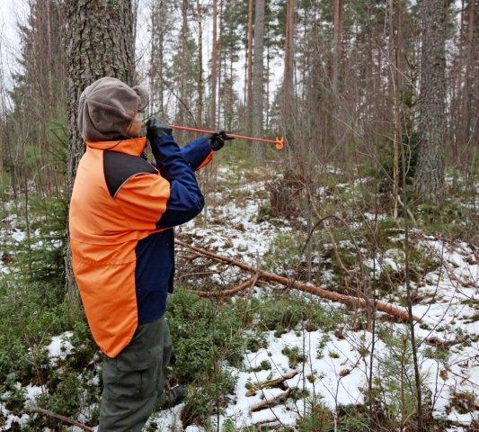 Metsävaratietojen julkisuus lisää riskejä - Käytännön Maamies