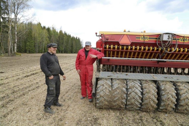 Suorakylväjä pääsee vähemmällä