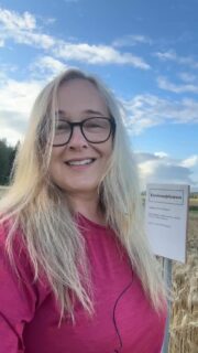 KM Ruutukisan syysvehnäruutujen tähkälukumäärät laskettiin. Ne vaihtelevat nollaruudun 700 tähkästä neliöllä Etelän Vetelien 1250 tähkään neliöllä. Mukaan on laskettu myös pienet tähkät. #KMRuutukisa @lantmannenagro