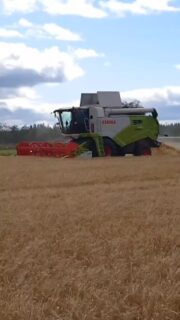 Tänään vuorossa #BORMaire -ohra Petri Tanskasen pellolla Polvijärvellä. @borealkasvinjalostus @petritanskanen10