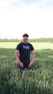 Orimattilan Pennalassa viljelevän Patrik Nummelan Ceylon on kylvetty 9.9.2025 herneen jälkeen. Suuri osa kevytmuokattiin, mutta osa kynnettiin. Syksyllä kevytmuokatut olivat parempia, mutta nyt kynnetty puoli pellosta on selkeästi tiheämpi. Siemen oli omaa TOSia, ja sitä käytettiin 240 kg/ha. Kylvölannoitus oli 100 kg/ha NPKS 15-7-13-9. Keväällä annettiin Rikkisalpietaria 80 kg/ha ja CANia 380 kg/ha. Rikkakasvit ruiskutettiin Rexadella, joka lyhensi vähän kortta. Huhtikuun kuudes päivä satoi 8,5 mm, sen jälkeen seuraava sade oli vasta 18.5.  Ceylon on hyvällä mallilla, mutta tiheys jäi satokisavehnäksi turhan harvaksi kuten tänä keväänä kävi. #satokisa2026 #syysvehnäkisa