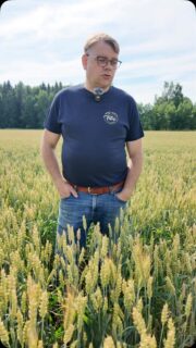 Jari Eerolan KWS Spencer on kylvetty vuokrapellolle salaojituksen jälkeen. On pieni arvoitus, miten syysvehnä viihtyy tällä lohkolla. Syysvehnät ja ruisvehnät menevät naudoille rehuksi, rukiit myydään tilan ulkopuolelle. Syysvehnät jäivät edellisvuotta harvemmiksi, mutta rukiit viihtyivät kevään kuivuudessa paremmin. Jari on uudistavan viljelyn edelläkävijöitä, mutta vanha kunnon vesitalous on hänestä tärkein juttu. Viljelykierto on monipuolista. Satokisassa Jaria kiinnostaa talous. Video on kuvattu 15.7. Lammilla. #satokisa #KWSSpencer @setalaeerolan_perhetila