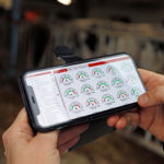 Lelyn T4C-tuotannonhallintaohjelmalla hallitaan sekä lypsy- että ruokintajärjestelmää. Mobiilisovellus helpottaa tuotannon seurantaa ja hienosäätöä.
