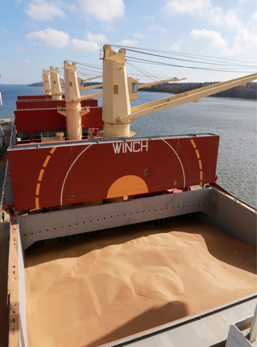 Elintarvikeviljan varmuusvarastojen tasoa nostettiin yhdeksän kuukauden kotimaista kulutusta vastaavalle tasolle Huoltovarmuuskeskuksen omalla päätöksellä joulukuussa 2022. Nyt varastot saatetaan palauttaa minimissään kuuden kuukauden kulutusta vastaavalle tasolle. Mikäli näin tehdään, myyntiin tulevat viljaerät olisivat sellaista kokoluokkaa, että niiden vienti olisi mahdollista. Tällä HVK pyrkii minimoimaan markkinahäiriöt. Elintarvikeviljan varmuusvarastoissa on pääasiassa leipävehnää ja myllykauraa, mutta myös jonkin verran myllyruista ja elintarvikeohraa. Varmuusvarastoviljojen mahdollinen myynti on helmikuun puolivälissä vielä täysin auki, ja on täysin mahdollista, että varastotaso pysyy yhdeksässä kuukaudessa.