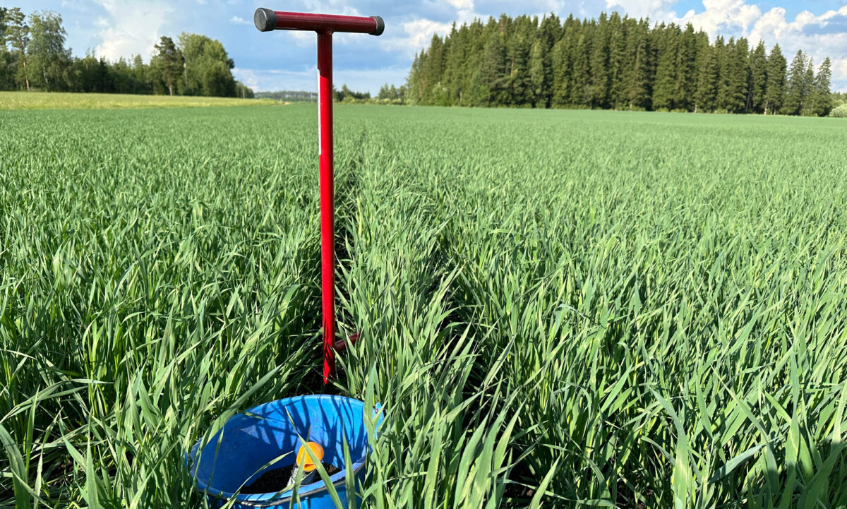 KUVA: ANNALEENA YLH&Auml;INEN