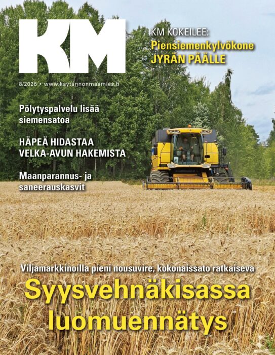 Uusin näköislehti