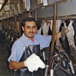 Työvoiman saanti ja hinta vaihtelevat maitotiloilla eri puolilla maailmaa. Kaliforniassa, josta kuva tulee, aputyövoimaa saa halvemmalla kuin monessa muussa maassa. Australiassa lypsäjän kustannus on jopa kaksinkertainen Kaliforniaan nähden.