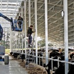 Uuden-Seelannin maitotiloilla on pitkään ollut vain laidunta ja lypsyasema. Ympäristösäädökset vaativat nyt maidontuottajia investoimaan karjasuojiin, jotta ravinnepäästöjä voidaan rajoittaa.