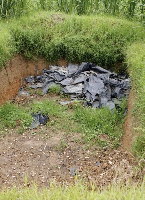 Säilörehusiilo on maahan kaivettu kuoppa, joka peitetään muovilla. Lehmät saavat säilörehua kuivalla kaudella.