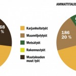 Maatalousyrittäjille vuosina 2009–2013 korvattujen työtapaturmien (vasemmalla) ja ammattitautien (oikealla) kappalemääräinen ja prosentuaalinen jakautuminen työtehtävän mukaan.